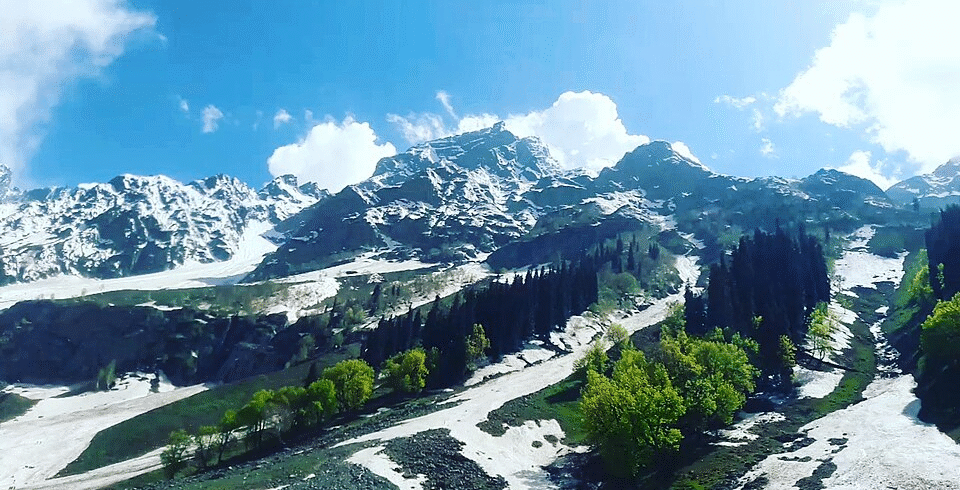 Snow-covered peaks with pine trees in Sonamarg under a clear blue sky – Sonamarg Luxury Trip