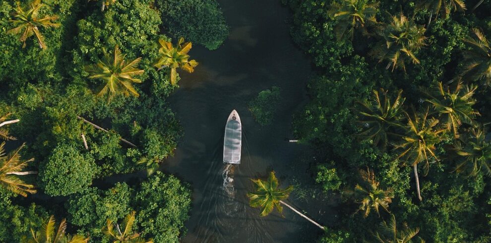 Top view of boats cruising through Kerala’s lush green backwaters – Kerala Luxury Trip