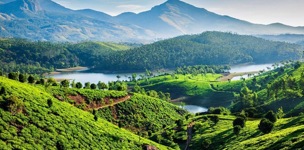 Rolling tea gardens and mist-covered hills in Munnar – Munnar Luxury Trip